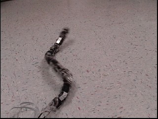 Soft Rod-Climbing Robot Inspired by Winding Locomotion of Snake