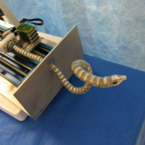 Surgical Snake Robot