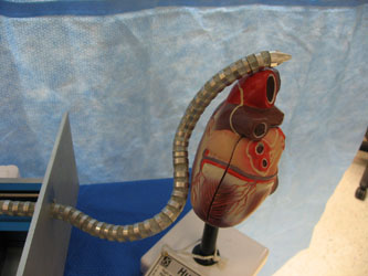 medSnake on plastic heart